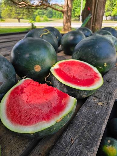 Melons