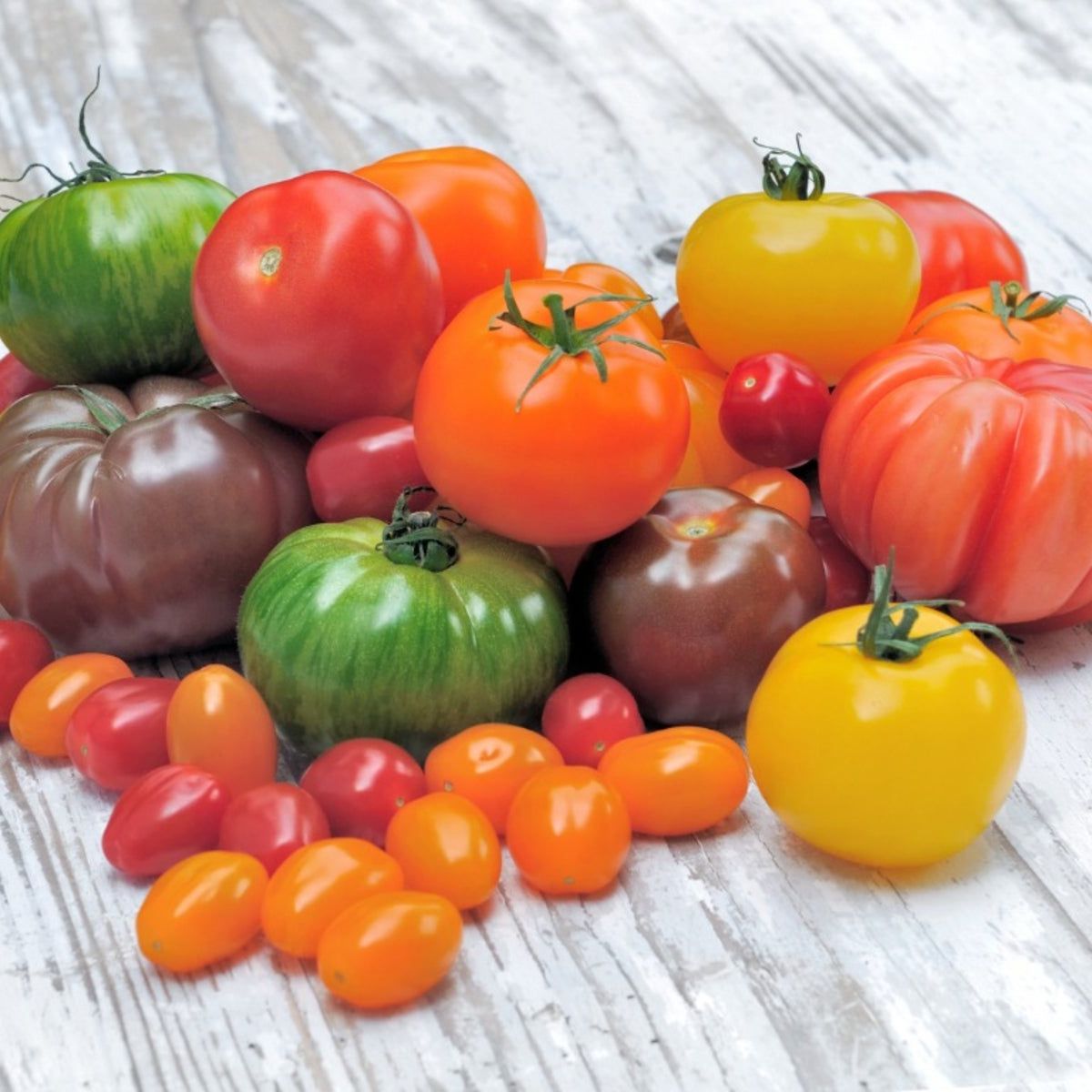 Fresh Tomatoes