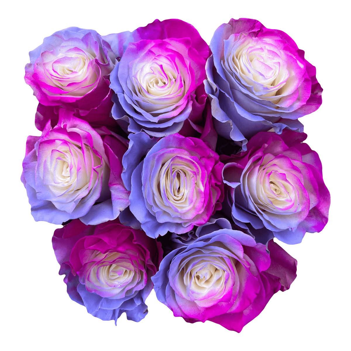Fresh Cut Flowers